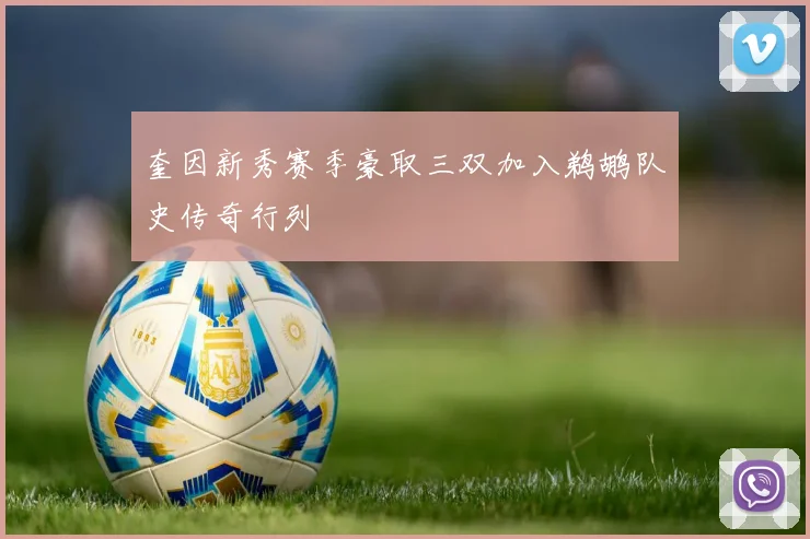 奎因新秀赛季豪取三双加入鹈鹕队史传奇行列